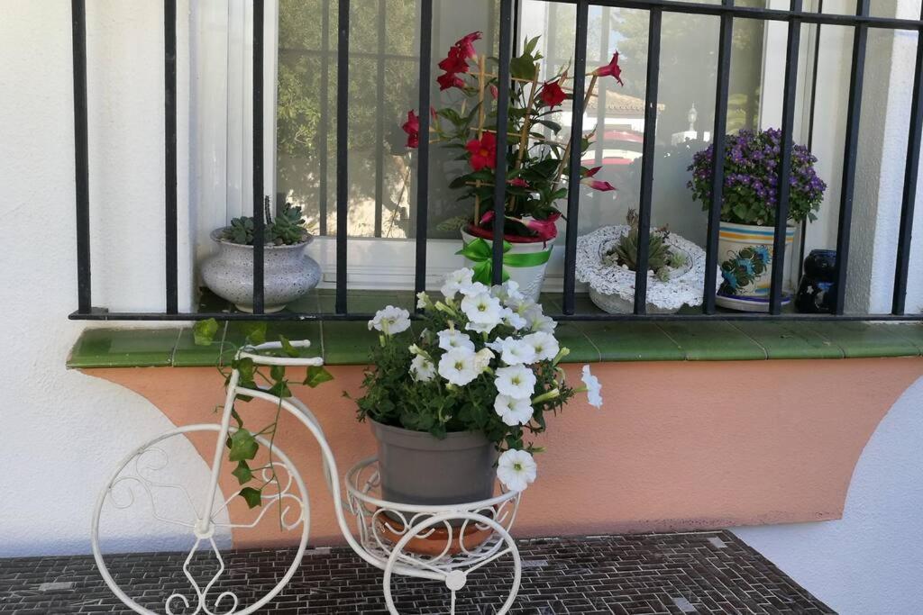 Casa Con Piscina Privada Y Jardin Chiclana de la Frontera
