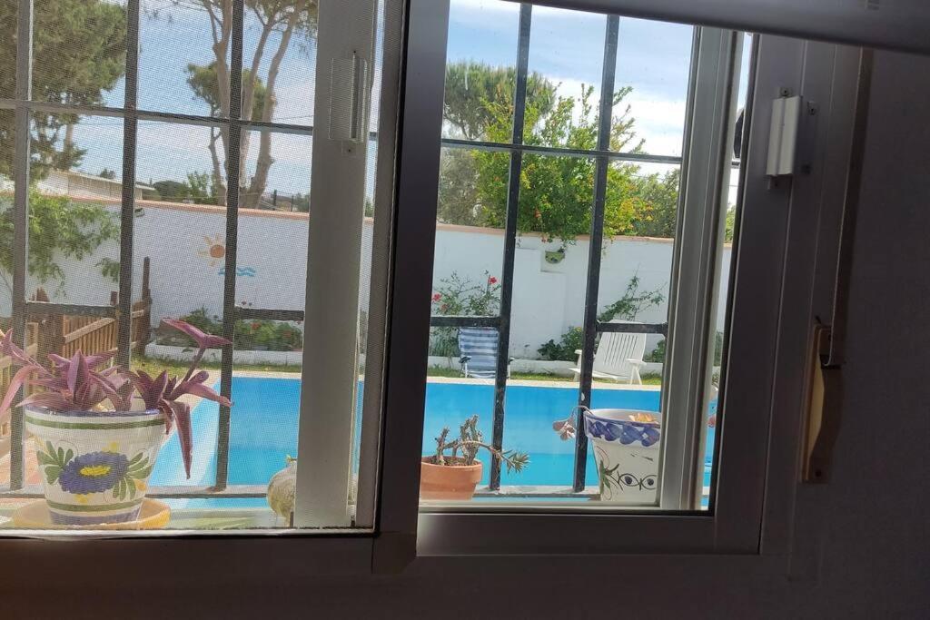 Casa Con Piscina Privada Y Jardin * Chiclana de la Frontera