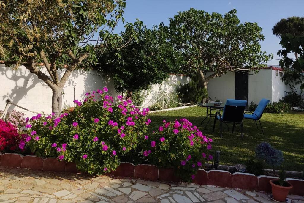 Vakantiehuis Casa Con Piscina Privada Y Jardin Chiclana de la Frontera