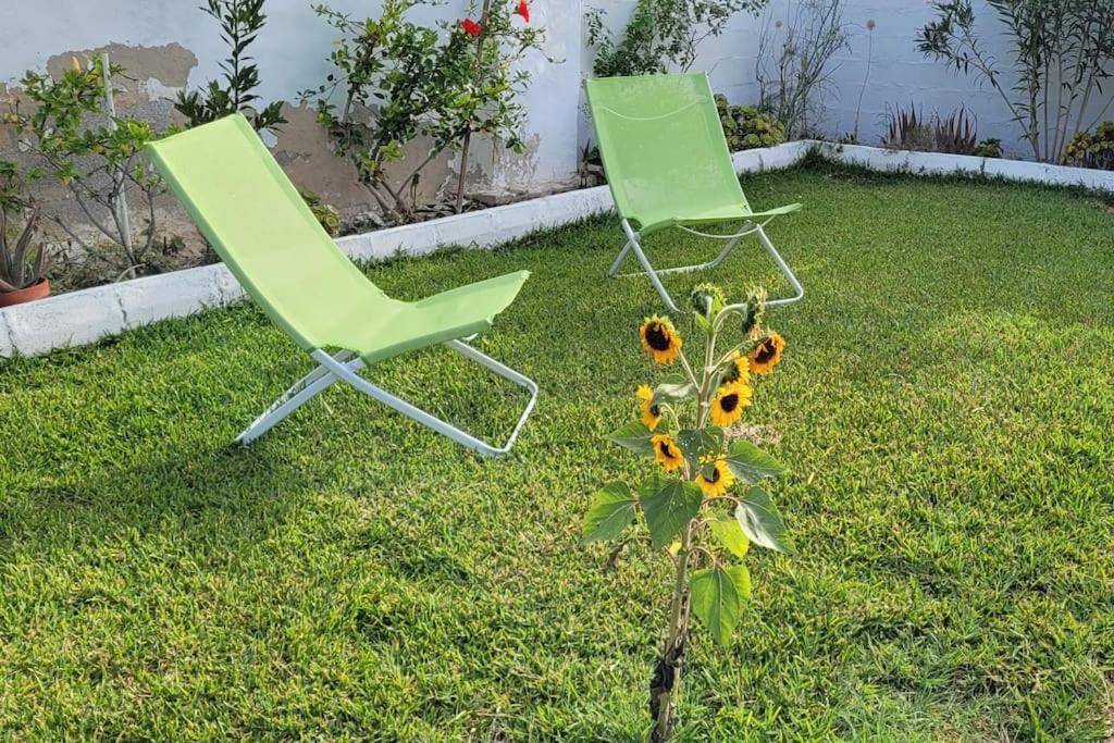 Casa Con Piscina Privada Y Jardin